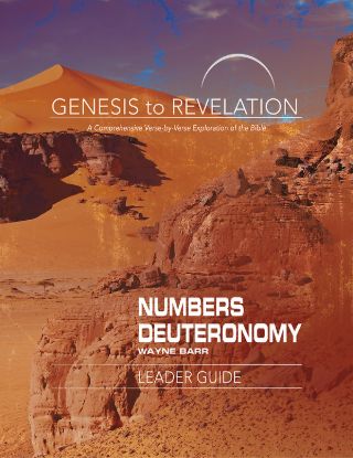 Picture of Genesis to Revelation Numbers Deuteronomy Leader Guide