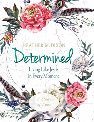 Picture of Determined Women's Bible Study Participant Workbook