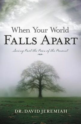 Picture of When Your World Falls Apart