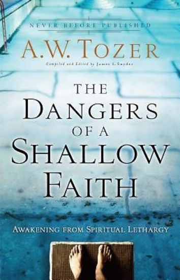 Picture of The Dangers of a Shallow Faith
