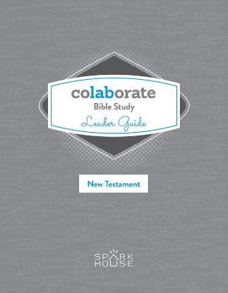 Picture of Colaborate Bible Study Leader Guide New Testament