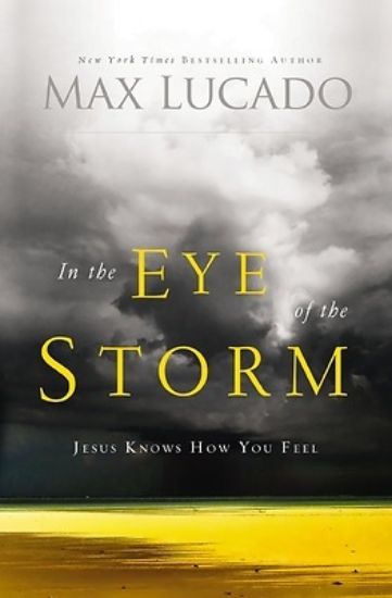 Picture of In the Eye of the Storm