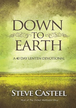 Picture of Down to Earth