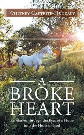 Picture of A Broke Heart