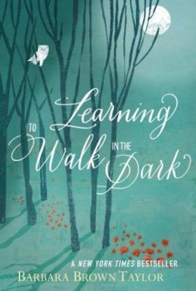 Picture of Learning to Walk in the Dark - eBook [ePub]