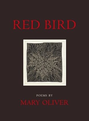 Picture of Red Bird
