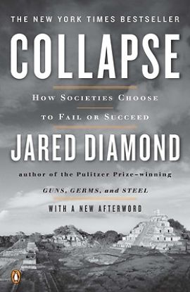 Picture of Collapse