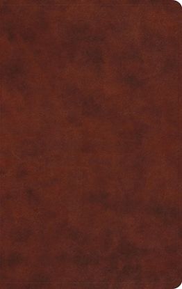 Picture of ESV Large Print Value Thinline Bible (Trutone, Chestnut)