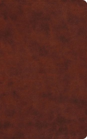 Picture of ESV Large Print Value Thinline Bible (Trutone, Chestnut)