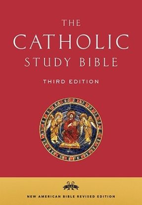 Picture of Catholic Study Bible-Nab