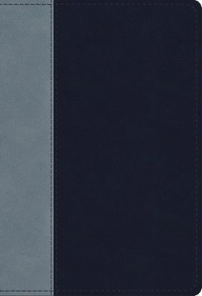 Picture of ESV Student Study Bible (Trutone, Navy/Slate, Timeless Design)