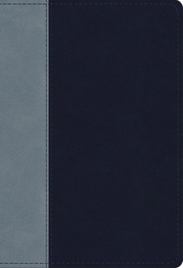 Picture of ESV Student Study Bible (Trutone, Navy/Slate, Timeless Design)