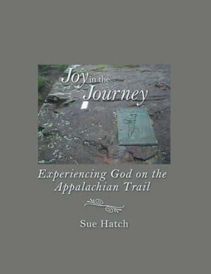 Picture of Joy in the Journey