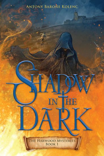 Picture of Shadow in the Dark