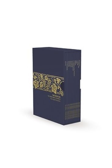 Picture of The Epistles and Revelation