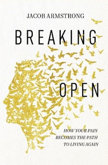 Picture of Breaking Open