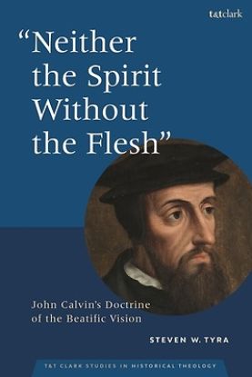 Picture of Neither the Spirit Without the Flesh