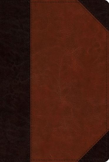 Picture of ESV Men's Study Bible (Trutone, Brown/Cordovan, Portfolio Design)