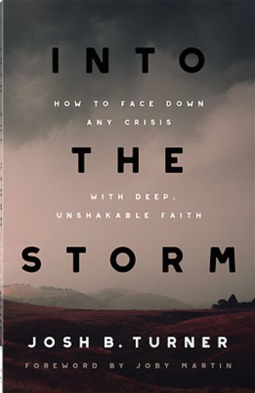 Picture of Into the Storm