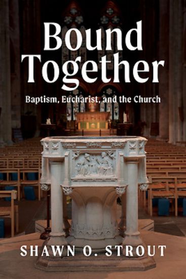 Picture of Bound Together