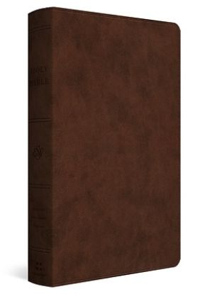 Picture of ESV Holy Bible
