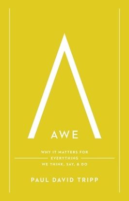 Picture of Awe