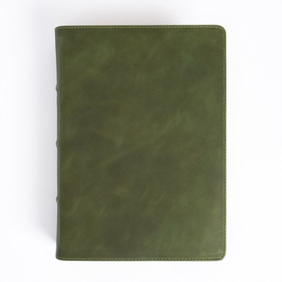 Picture of CSB She Reads Truth Bible, Holman Handcrafted Collection, Olive Premium Calfskin