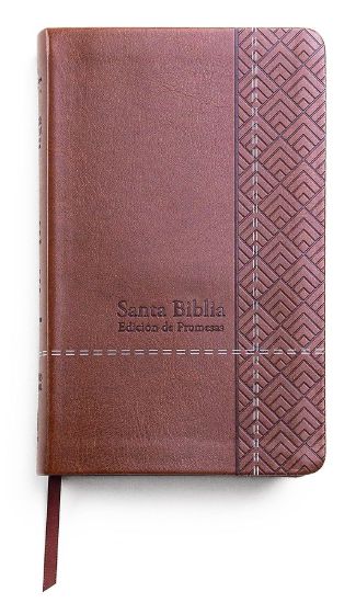Picture of Santa Biblia de Promesas Reina Valera 1960 Cafe Spanish Promise Bible RV60
