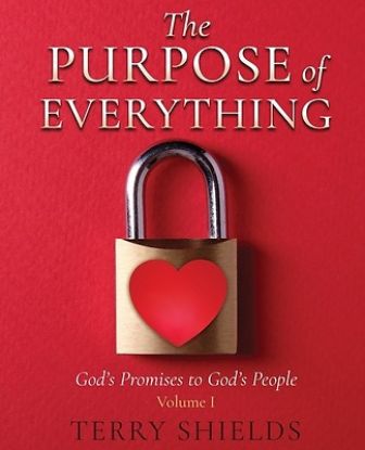Picture of The Purpose of Everything