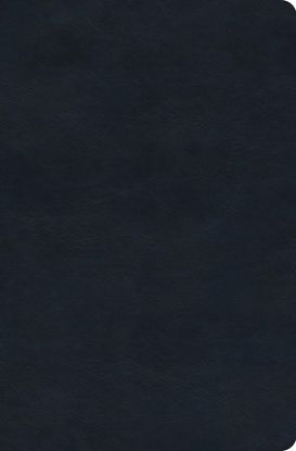 Picture of ESV Value Compact Bible (Trutone, Navy)