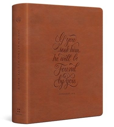 Picture of ESV Journaling Study Bible (Trutone Over Board, English Saddle, 1 Chronicles 28