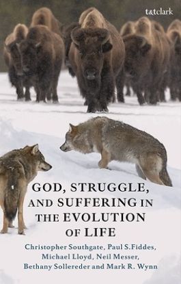 Picture of God, Struggle, and Suffering in the Evolution of Life