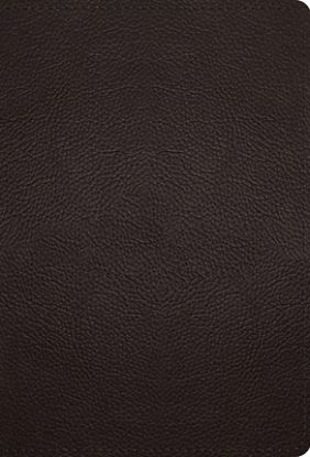 Picture of ESV Large Print Compact Bible, Red Letter (Buffalo Leather, Deep Brown)