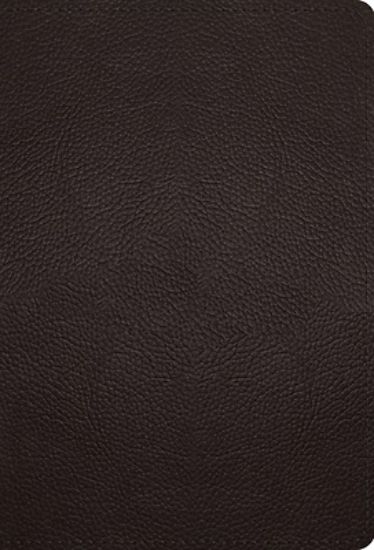 Picture of ESV Large Print Compact Bible, Red Letter (Buffalo Leather, Deep Brown)
