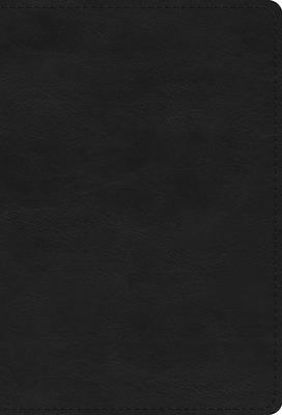 Picture of ESV Large Print Compact Bible, Red Letter (Trutone, Black)