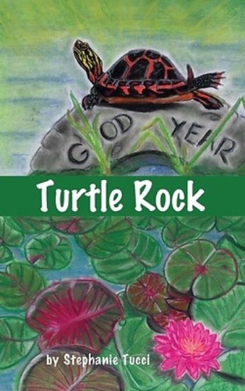 Picture of Turtle Rock