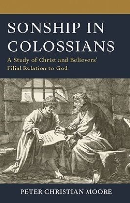Picture of Sonship in Colossians