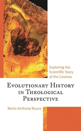 Picture of Evolutionary History in Theological Perspective