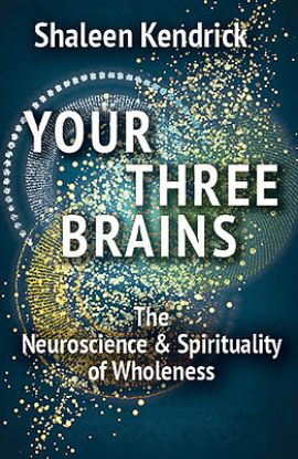 Picture of Your Three Brains