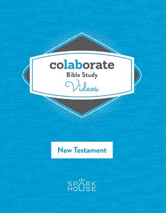 Picture of Colaborate Bible Study DVD New Testament