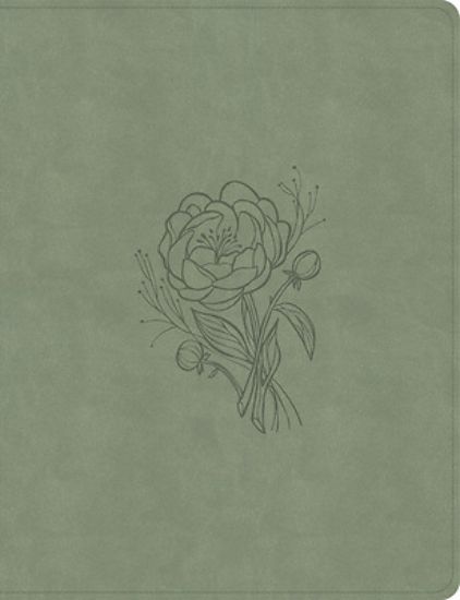 Picture of KJV Notetaking Bible, Large Print Edition, Sage Suedesoft Leathertouch