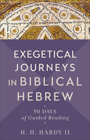 Picture of Exegetical Journeys in Biblical Hebrew