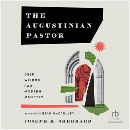 Picture of The Augustinian Pastor