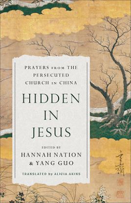 Picture of Hidden in Jesus