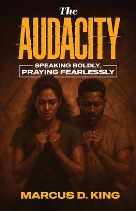 Picture of The Audacity