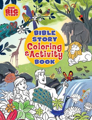 Picture of Bible Story Coloring and Activity Book