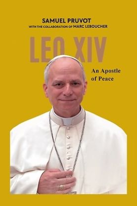 Picture of Leo XIV