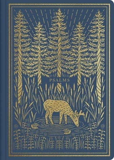Picture of ESV Illuminated Scripture Journal