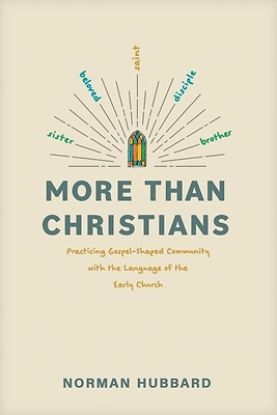 Picture of More Than Christians
