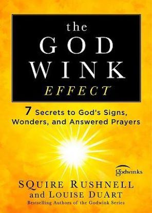 Picture of The Godwink Effect